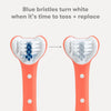 Frida Baby Training Toothbrush | Toddler Toothbrush for 18-24 Months, Easy-Grip Handle, Triple Angle Bristles, Soft Toothbrush Bristles, Stay-Put Suction Cup | Pink