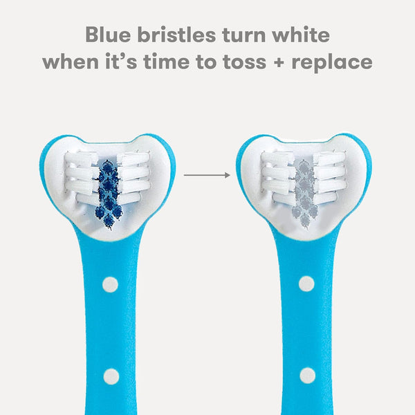 Frida Baby Training Toothbrush | Toddler Toothbrush for 18-24 Months, Easy-Grip Handle, Triple Angle Bristles, Soft Toothbrush Bristles, Stay-Put Suction Cup | Blue