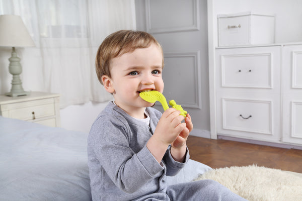 Mombella Squirrel Teether Toy for Babies 6+ Months – BPA-Free, Soft Silicone, Safe & Fun Teething Relief, Colorful Design, Easy-Grip for Tiny Hands - Green