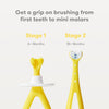 Fridababy Grow-with-Me Training Toothbrush Set | Infant to Toddler Toothbrush Oral Care for Sensitive Gums Combo Pack by Frida Baby