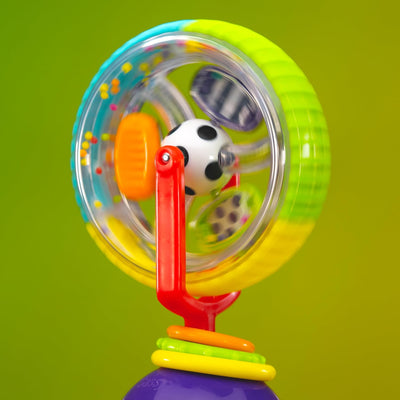 Sassy Wonder Wheel