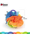 Sassy Crinkle Ball, 3M+