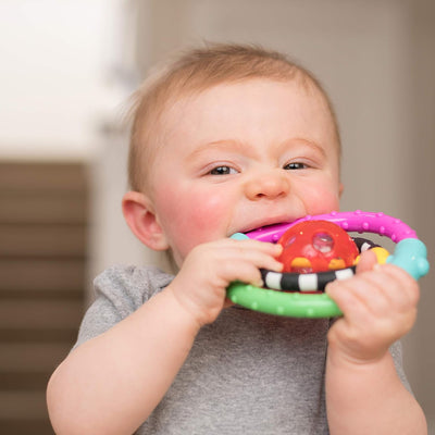Sassy Spin & Chew Flexible Ring Rattle