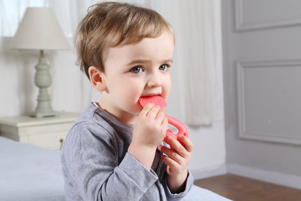 Mombella Squirrel Teether Toy for Babies 6+ Months – BPA-Free, Soft Silicone, Safe & Fun Teething Relief, Colorful Design, Easy-Grip for Tiny Hands - Rose