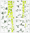 Birch Trees Peel and Stick Wall Decals | Removable Repositionable Stickers | Easy Damage-Free Wall Art for Kids Bedroom Nursery Playroom
