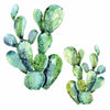 Watercolor Cactus Peel and Stick Wall Decals | Removable Repositionable Stickers | Easy Damage-Free Wall Art for Kids Bedroom Nursery Playroom