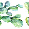 Watercolor Cactus Peel and Stick Wall Decals | Removable Repositionable Stickers | Easy Damage-Free Wall Art for Kids Bedroom Nursery Playroom