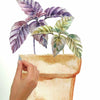 Watercolor Potted Herbs Peel and Stick Wall Decals | Removable Repositionable Stickers | Easy Damage-Free Wall Art for Kids Bedroom Nursery Playroom