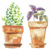 Watercolor Potted Herbs Peel and Stick Wall Decals | Removable Repositionable Stickers | Easy Damage-Free Wall Art for Kids Bedroom Nursery Playroom