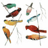 Song Birds Peel and Stick Wall Decals | Removable Repositionable Stickers | Easy Damage-Free Wall Art for Kids Bedroom Nursery Playroom