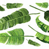 Banana Leaf Peel and Stick Wall Decals | Removable Repositionable Stickers | Easy Damage-Free Wall Art for Kids Bedroom Nursery Playroom
